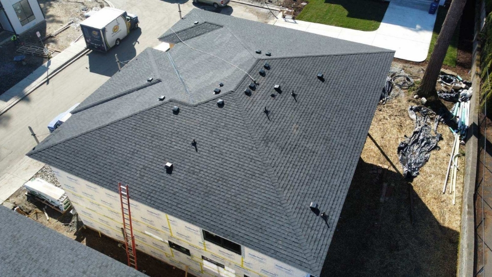 roof maintenance