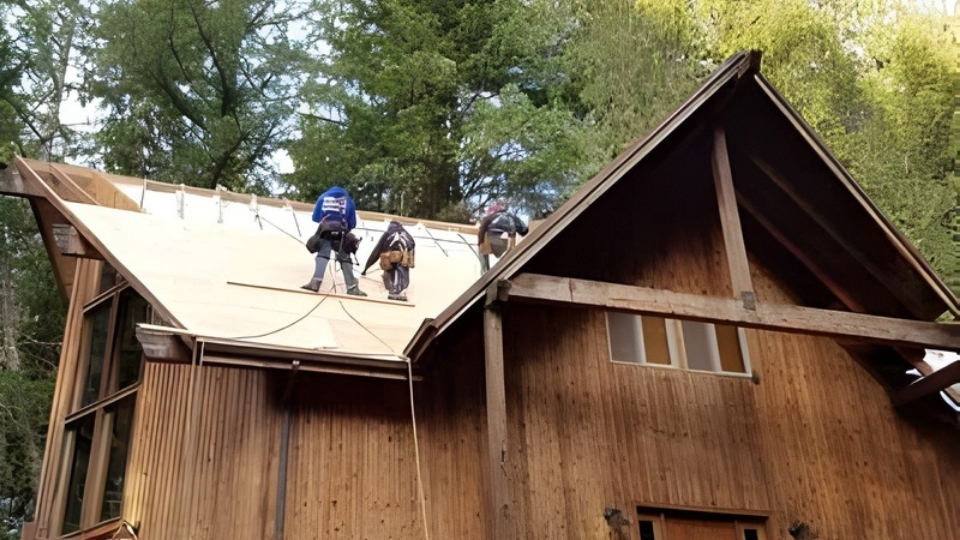 professional roofing contractor