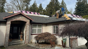 roof maintenance