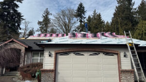 asphalt shingle